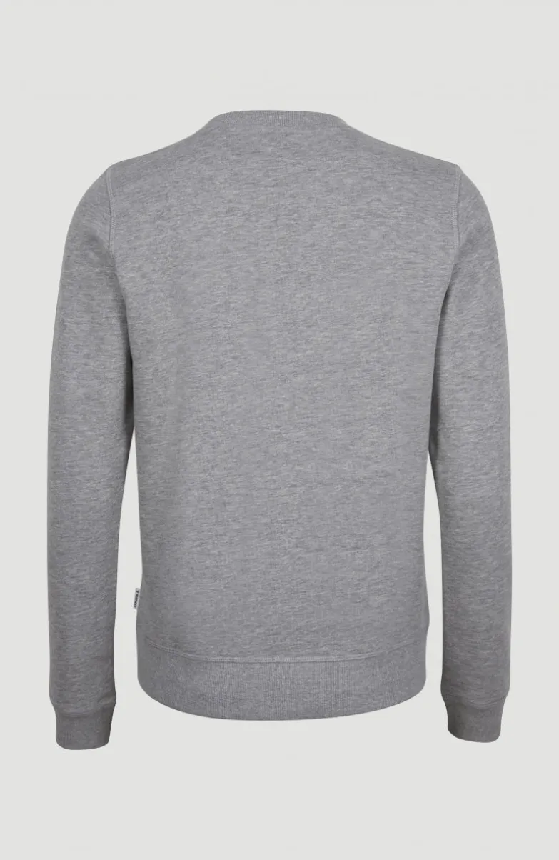 Circle Surfer Crew Sweatshirt | Silver Melee
