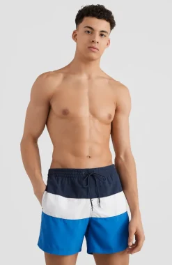 Frame Block Swim Short | Blue Multi 9