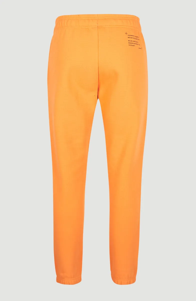 Future Surf Joggingbroek | Nugget