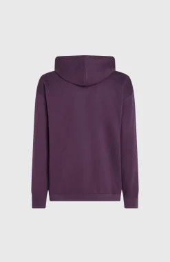 Future Surf Society Hoodie | Aubergine