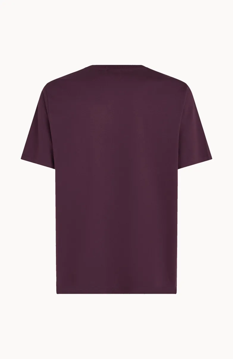 Future Surf Society T-shirt | Aubergine