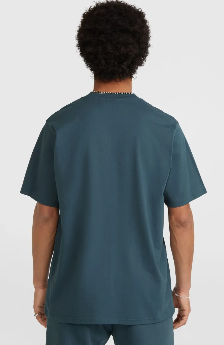 Future Surf Society T-shirt | Alma Steel