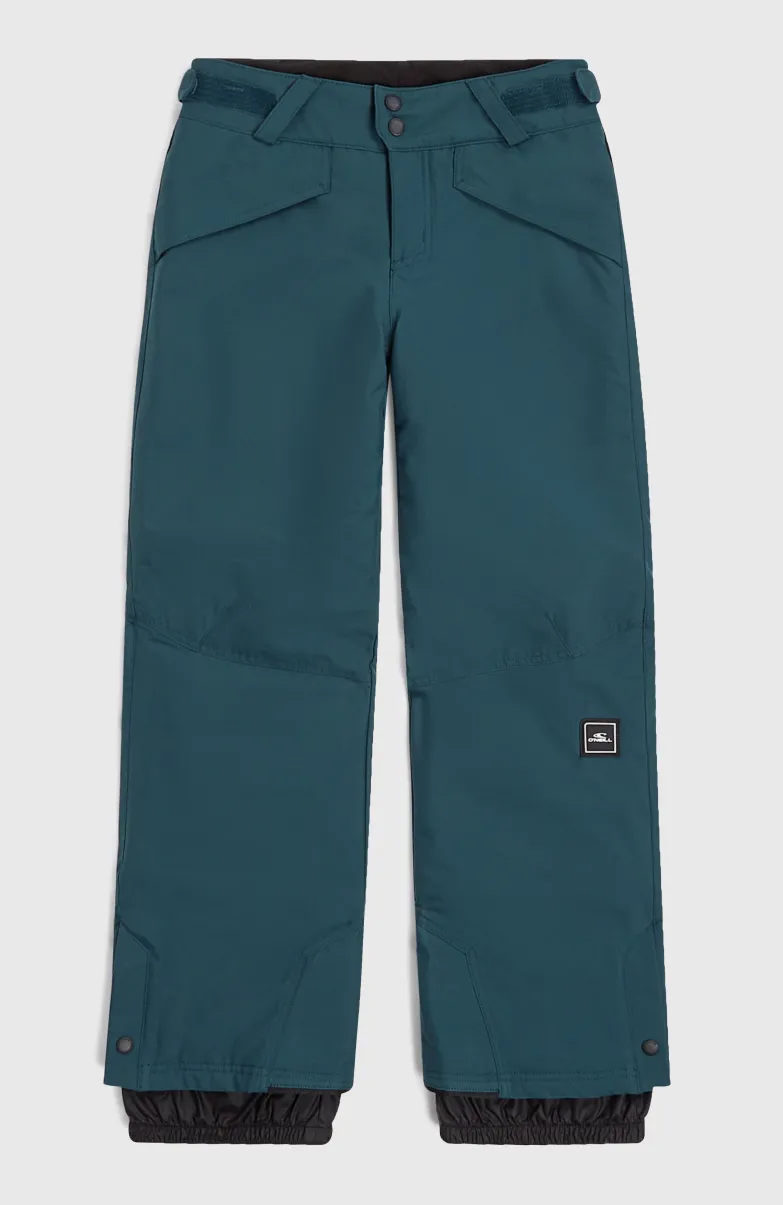 Hammer Wintersportbroek | Alma Steel