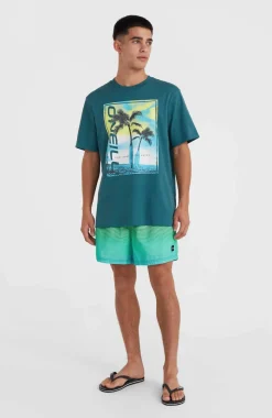 Jack O'Neill Cali Gradient 15