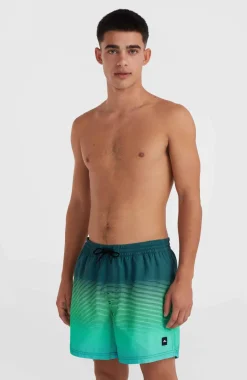 Jack O'Neill Cali Gradient 15