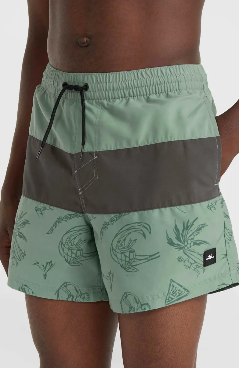Mix And Match Cali Block 15" Zwembroek | Green Vintage Surfer
