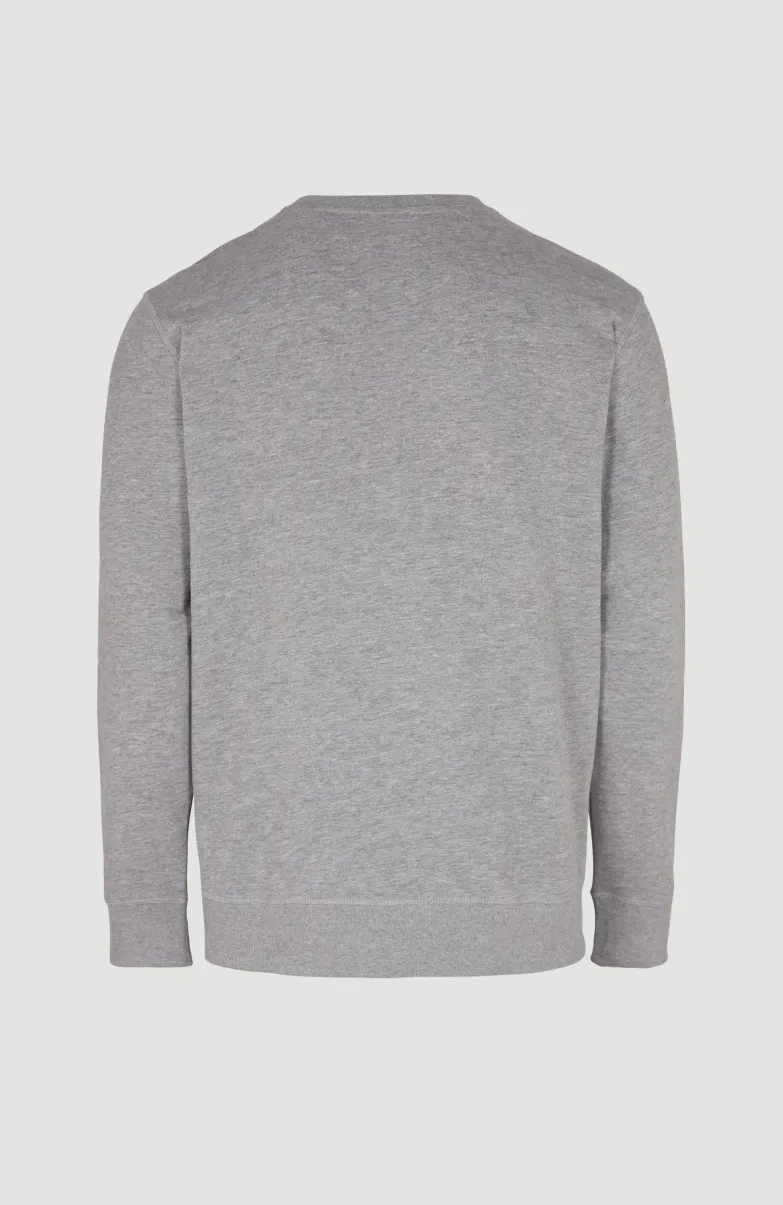 O'Neill Small Logo Crew Sweater | Silver Melee