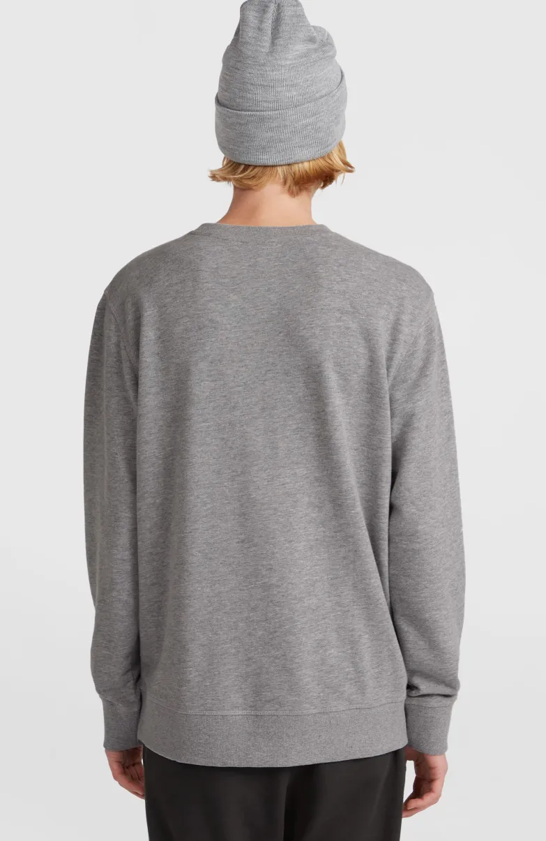 O'Neill Small Logo Crew Sweater | Silver Melee