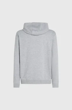 O'Neill Small Logo Hoodie | Silver Melee