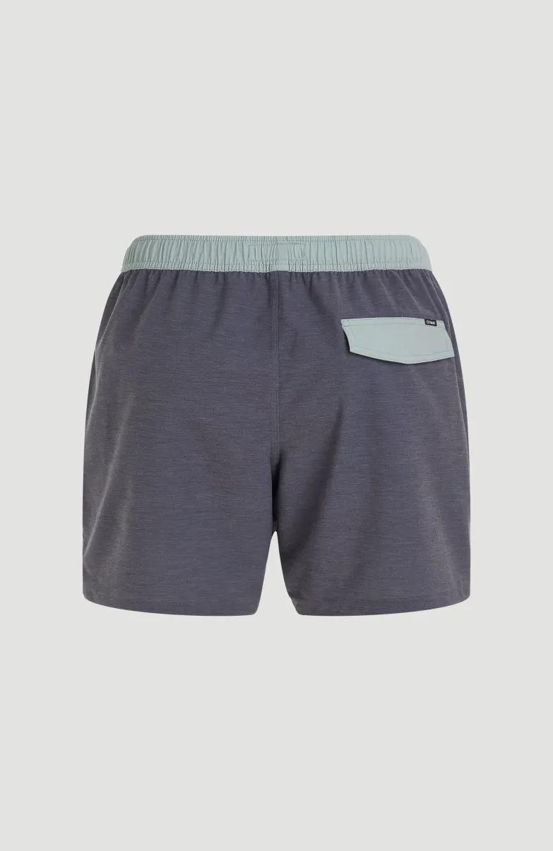 O’Riginals Volley 16" Swim Shorts | Graphite