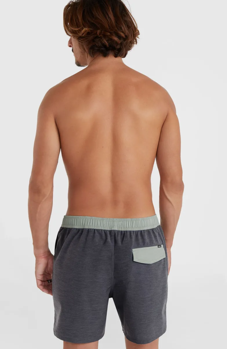 O’Riginals Volley 16" Swim Shorts | Graphite