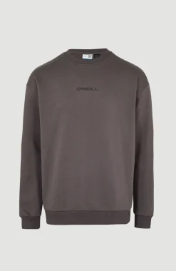 Sweater Future Surf Society | Raven