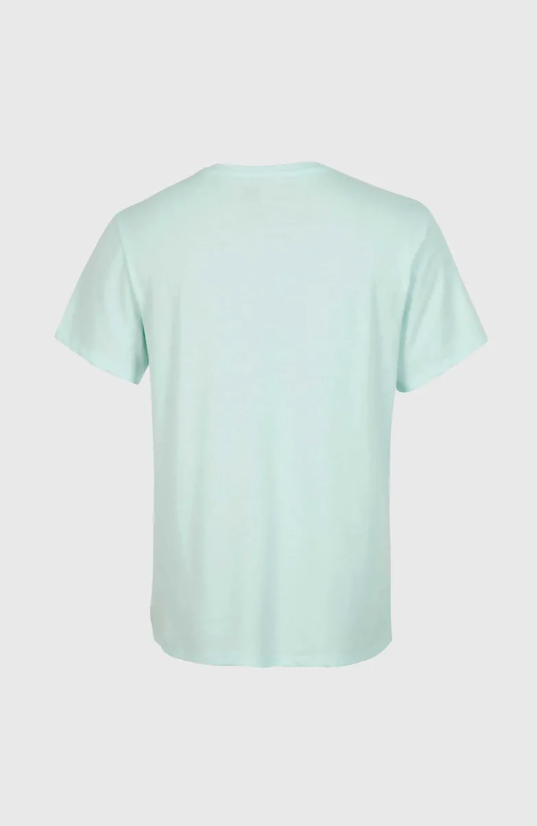 T-shirt Essentials Met V-hals | Soothing Sea