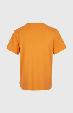 T-shirt Essentials Met V-hals | Nugget